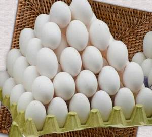 White Egg