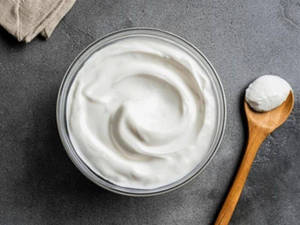 Plain Curd