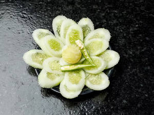 Cucumber Salad