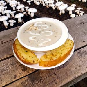 cream of mushroom soup