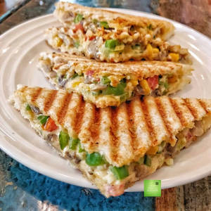 Veg Grill Sandwich