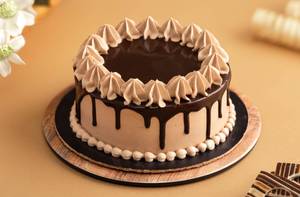 Chocolate Delight Bento Cakes