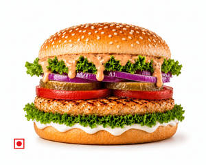Farm Fresh Chicken Burger