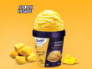 Jackfruit Sensation 100ml