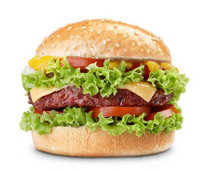 Indian Cheese Burger