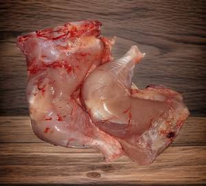 Chicken Full Leg(550 Gram)