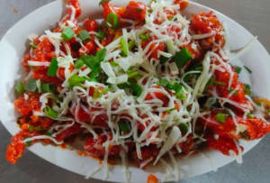 Paneer Special Crispy