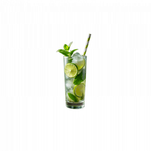 Mint Mojito