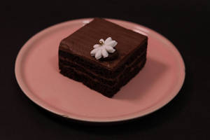 Belgium Chocolate Pastry
