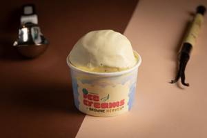 Madagascar Vanilla Ice Cream