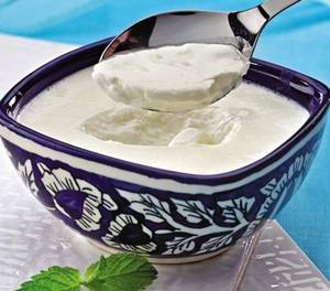 Plain Curd