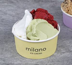 Ice Cream To Go (250 Gms)