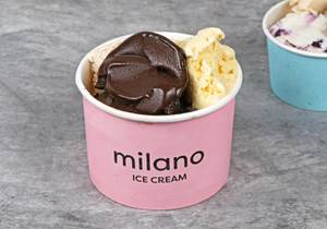 Ice Cream To Go (500 Gms)