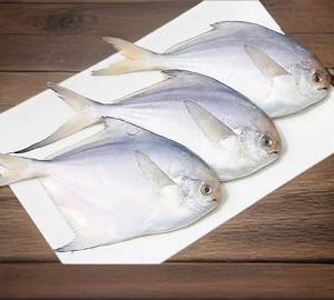 White Pomfret (1000 Gm)