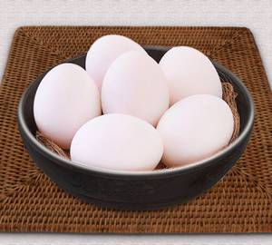 White Egg - Pack Of 12