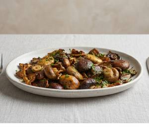 Torque Smokey Mushroom