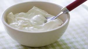 Plain Curd
