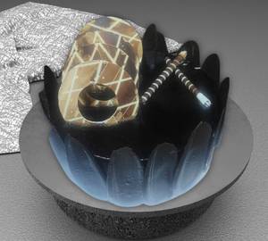 Special Black Forest 500gm