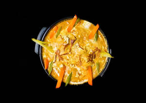 Stroganoff chicken