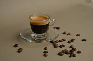 Cortado
