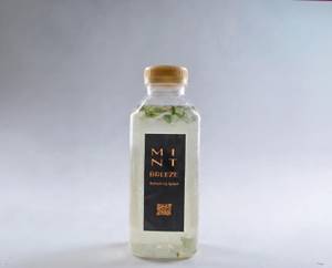 Lime Mint Breeze - 500ml