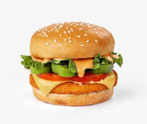 Hot Mexican Burger
