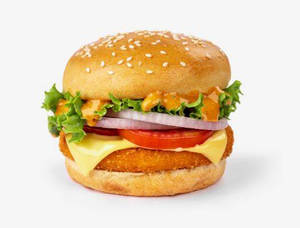 Dr. Veggie Burger