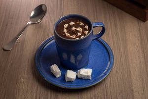 The Mayflower Hot Chocolate (hot)