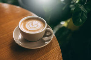 Cappaccino