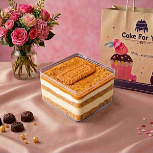 Lotus Biscoff Cheesecake Tub [300 ML]