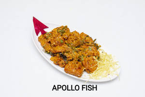 Fish Apollo