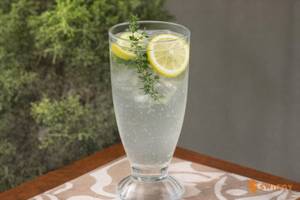 Salted Fresh Lime Soda