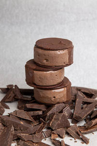 Dark Chocolate Ice Cream Sandwich