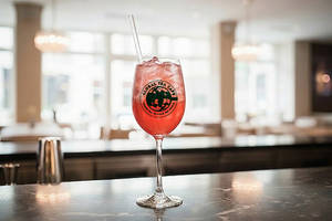 Watermelon ice tea