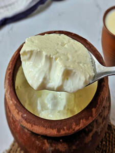 Curd