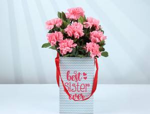 Pink Carnation Floral Box For Sister