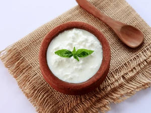 Plain Dahi