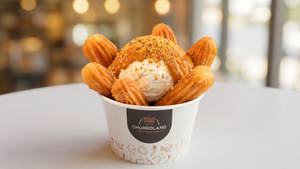 Biscoff Ice Cream Churros