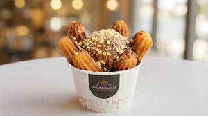 Nutella Crunch Ice Cream Churros