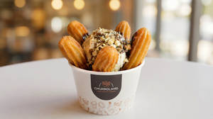 Classic Ice Cream Churros