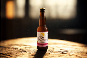 Bliss Kombucha – Raspberry