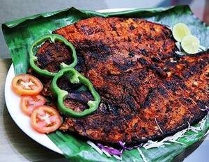 Fish Alfaham