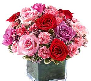 Pink Rose Carnation with Purple Rose arrangement