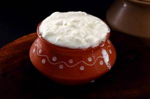 Plain Curd