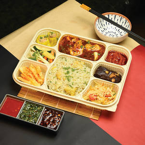 Premium Fish Bento Box