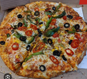9" Veg Special Pizza