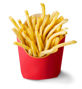 Regular french fries