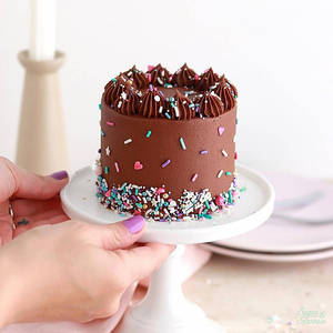 Chocolate Mini Cake