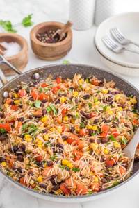 Mexican veg fried rice