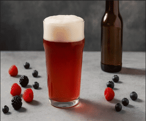 Raspberry  Fruit Beer